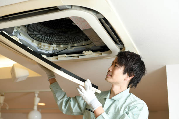 Best HVAC Maintenance and Cleaning  in Rio Rico, AZ