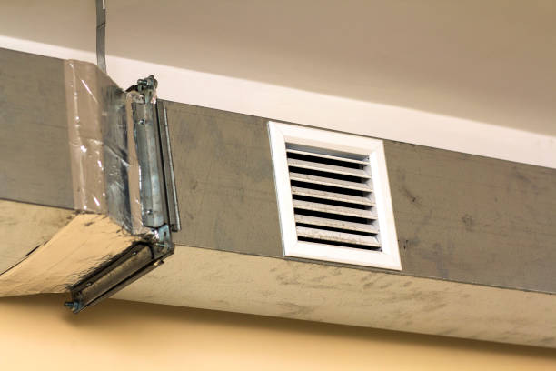 Best Professional Duct Cleaning Services  in Rio Rico, AZ
